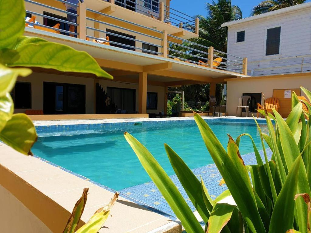 Beach Club Budget Rooms At Popeyes Caye Caulker Ngoại thất bức ảnh